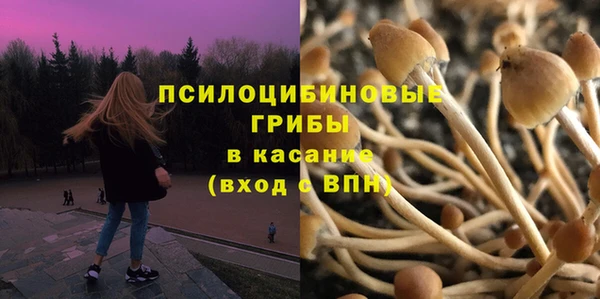 мдпв Арсеньев